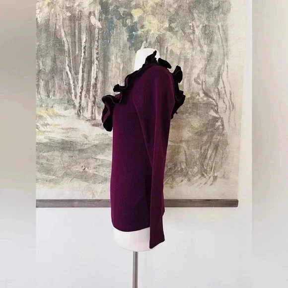 Anthropologie DOLAN Ruffled V-Neck Top in Wine Size Medium NWOT $78 - Picture 5 of 11